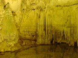 bild 184